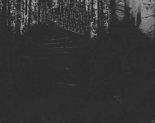 Evilness Darkness : Demon Wood